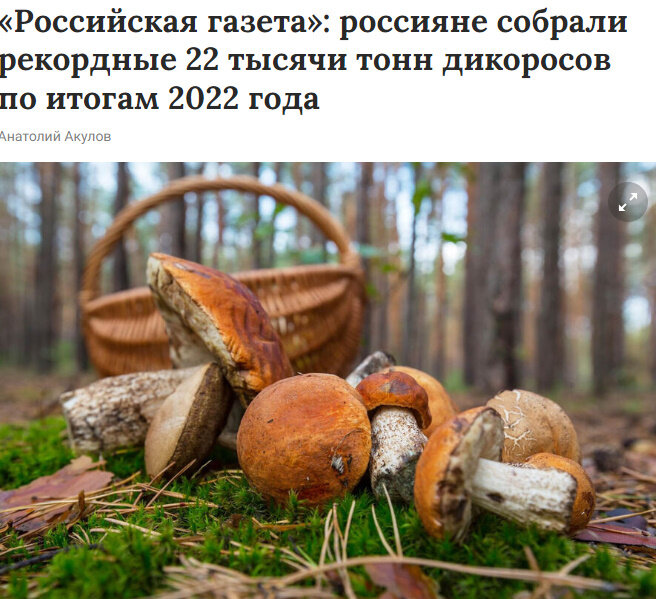 Автор: https://img.gazeta.ru/files3/208/15298208/mushroom_658691-566-pic_32ratio_900x600-900x600-72101.jpg 