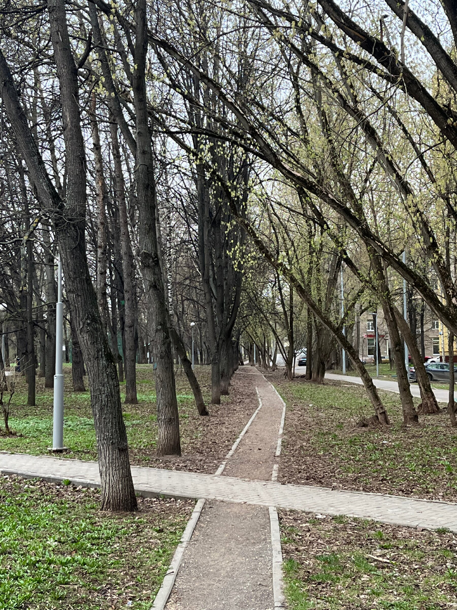 Режим служебного времени беременных женщин и не только. | ФСИН взгляд  изнутри | Дзен