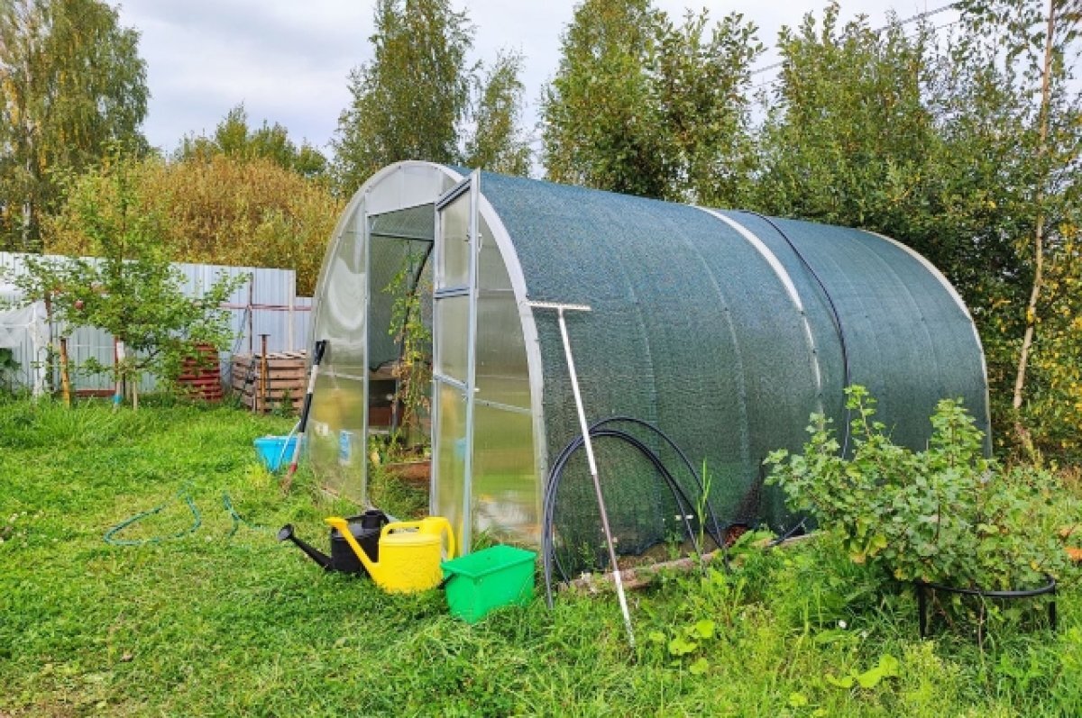    Работы на даче в апреле. 10 срочных дел, которые нужно сделать в огороде