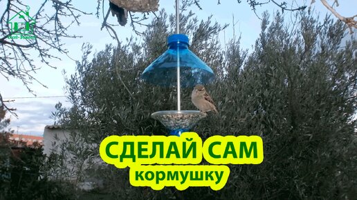 Сделай сам кормушку для птиц 🪚🪛🔨 Идеи для сада и дачи своими руками 🏡