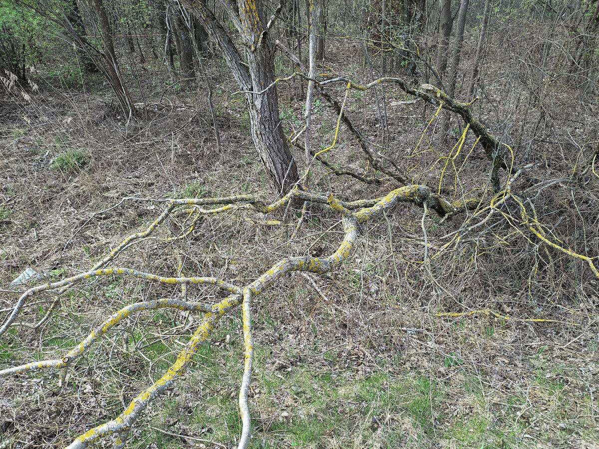 ФОТО: VICTOR LISITSYN, ВИКТОР Л/GLOBAL LOOK PRESS