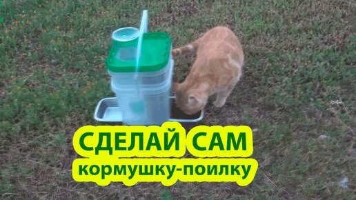 Descargar video: Сделай сам поилку кормушку для кошки 🪚🪛🔨 Идеи для сада и дачи своими руками