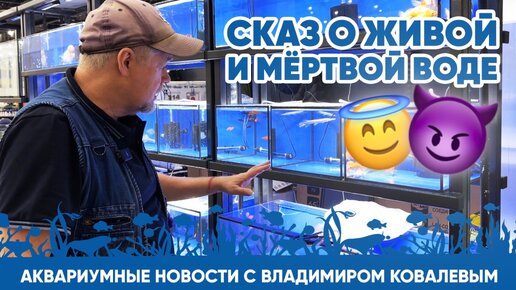 Аквариумные новости с Владимиром Ковалевым (12.04.2024). Сказ о живой и мёртвой воде 👼 😈