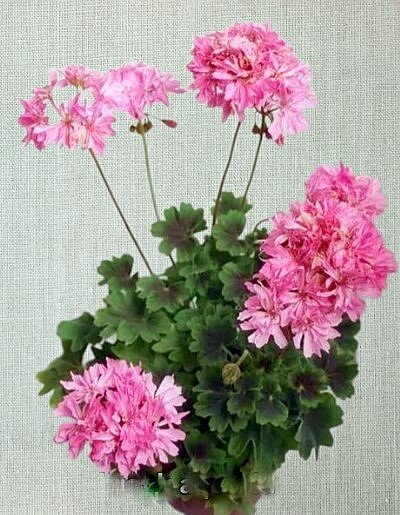 Ну как же такой не любить?!