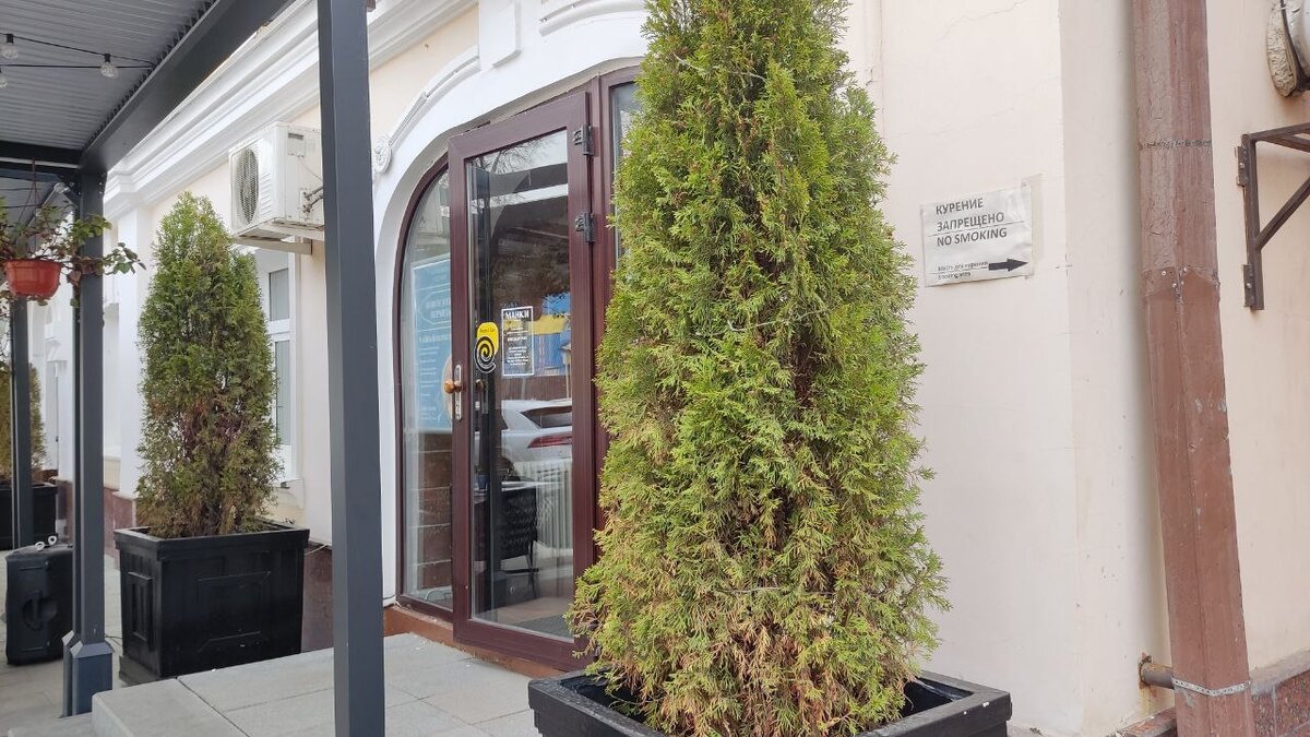 Туи московского кафе