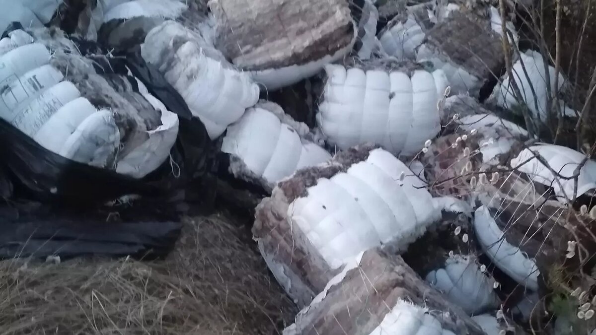     Свыше 200 тюков выброшенной овечьей шерсти нашли около завода «Заря» в Дзержинске. Об этом сообщают местные жители в соцсетях.