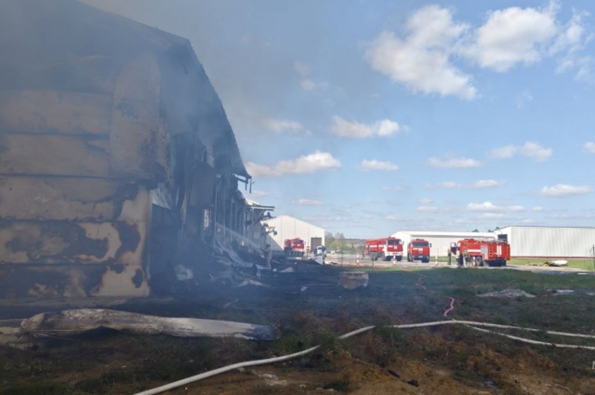    В Выгоничском районе Брянской области сгорел цех птицеводческой фермы