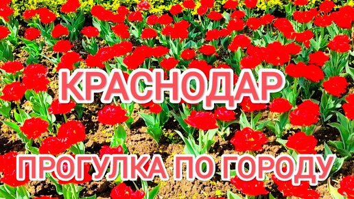 Россия. Краснодар. Гуляем по городу.