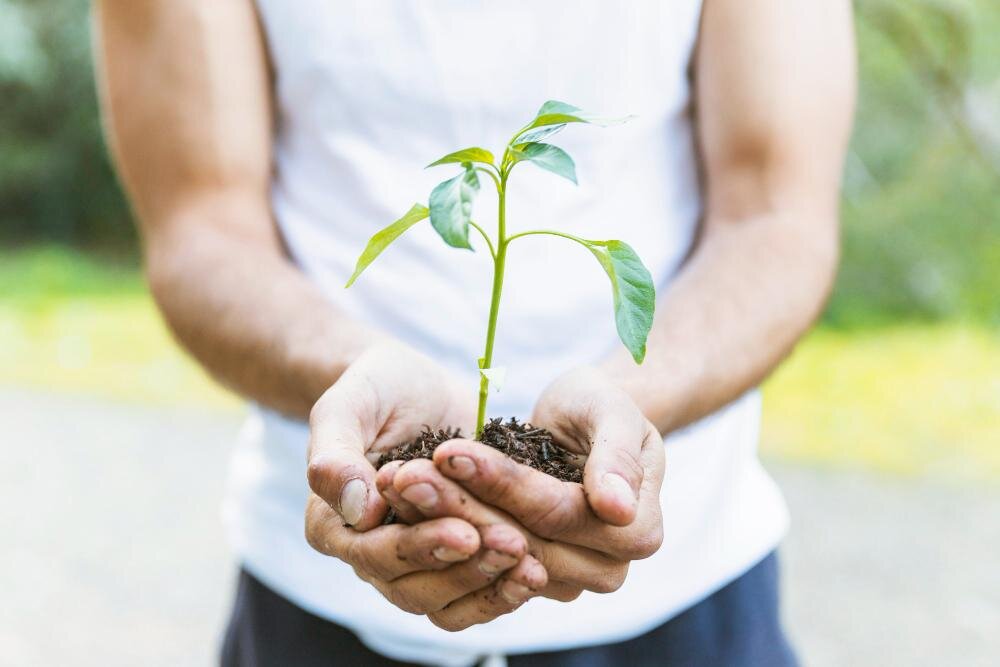 САД / ОГОРОД / ДАЧА