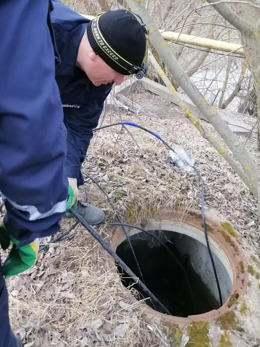 Бобер в колодце 