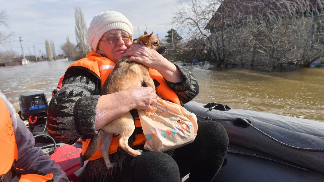    Фото: Komsomolskaya Pravda/Globallookpress