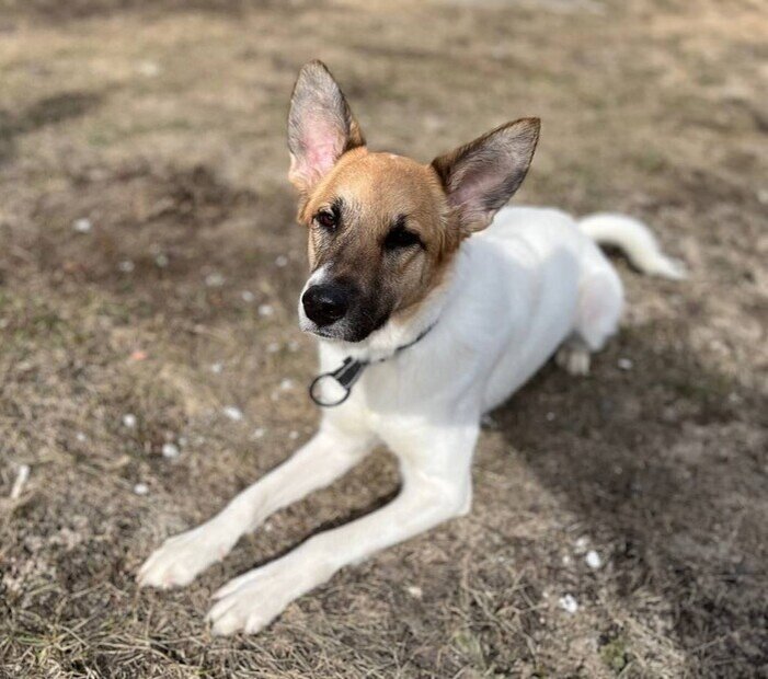 Листайте вправо, чтобы увидеть больше изображений