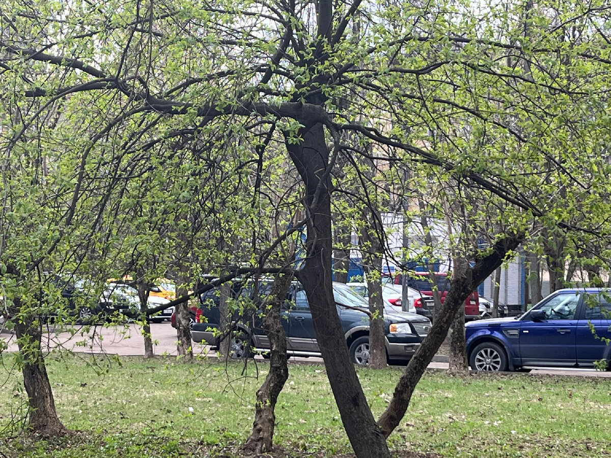 Сколько дней отдыха положено донорам во ФСИН? | ФСИН взгляд изнутри | Дзен