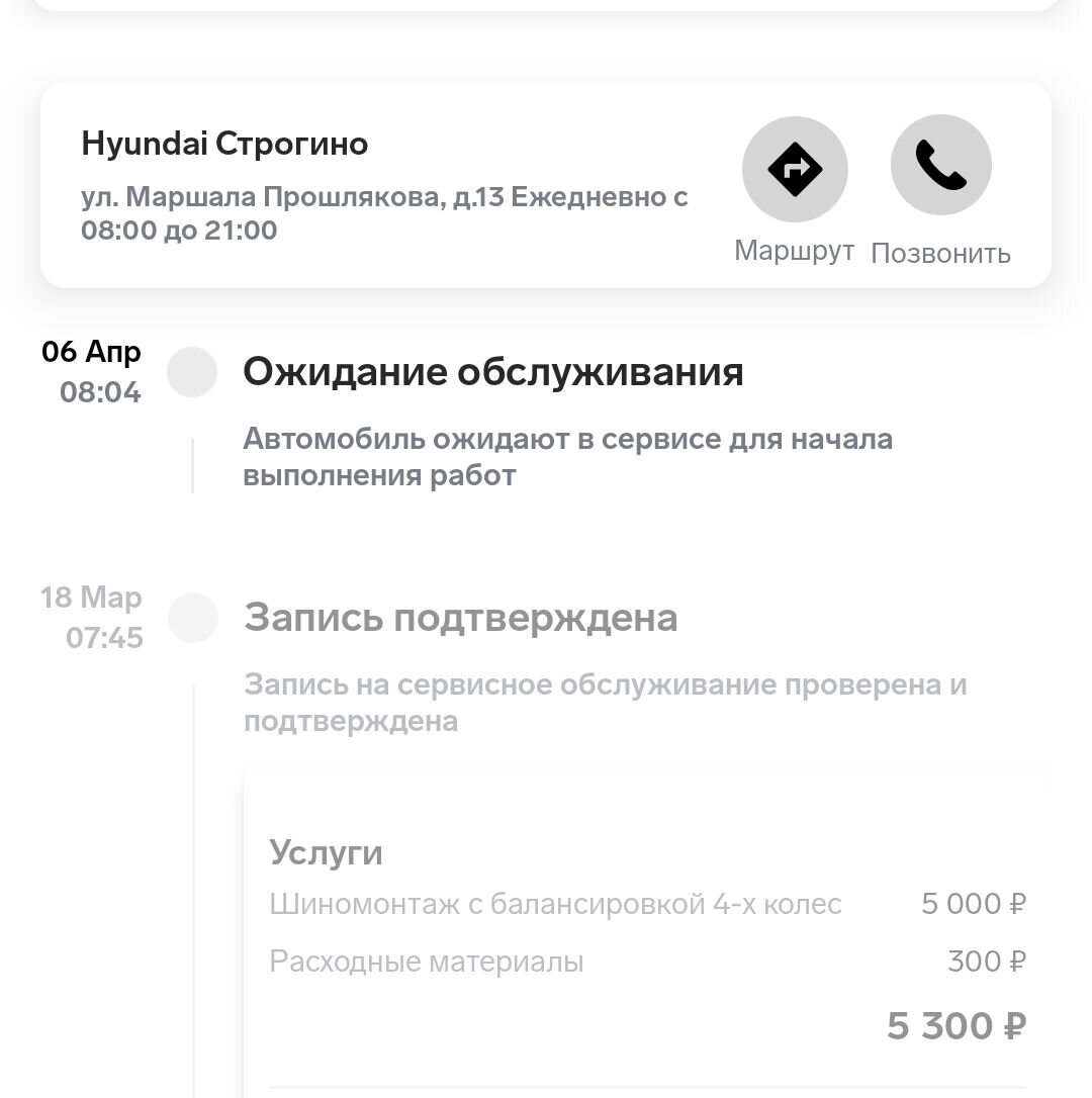 Пирожку сегодня девять лет. Про авто и платья. | Без працы не бенды  кололацы | Дзен