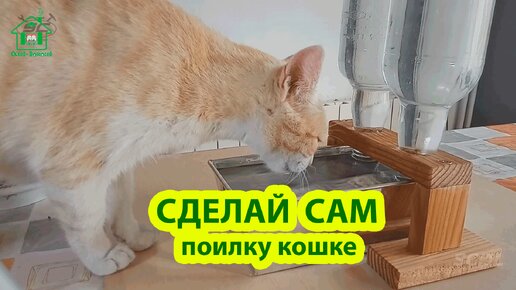 Сделай сам поилку для кошки из двух бутылок 🪚🪛🔨 Идеи для сада и дачи своими руками 🏡