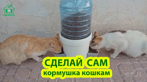 Сделай сам кормушку кошкам из ведра и 5 л бутыли 😹 Идеи для сада и дачи своими руками 🏡