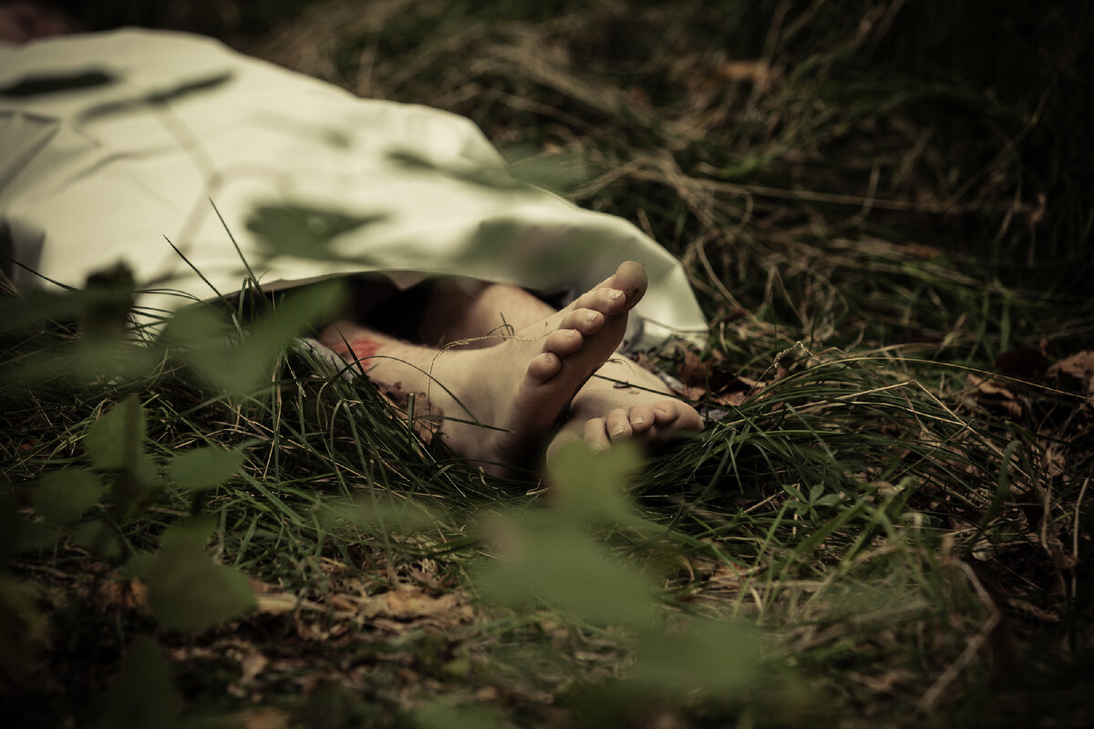 Источник: Jan H Andersen/Shutterstock/Fotodom