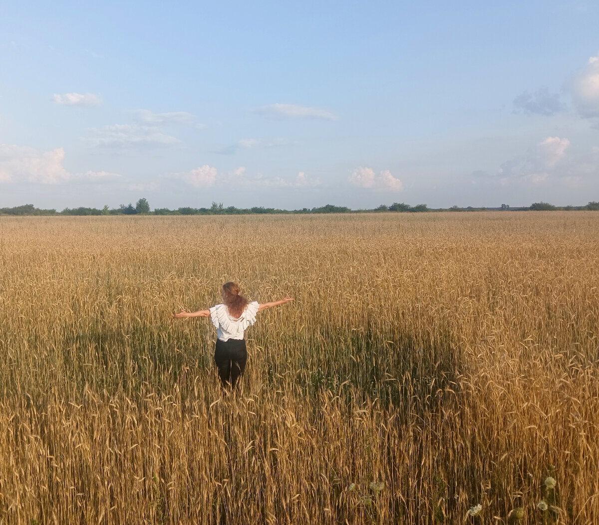 Беларусь. Поле в Гомельской области. 