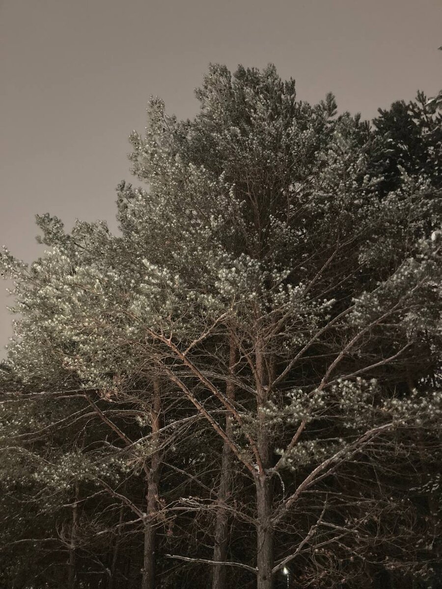 Набережная освещена, и ночью всё видно.