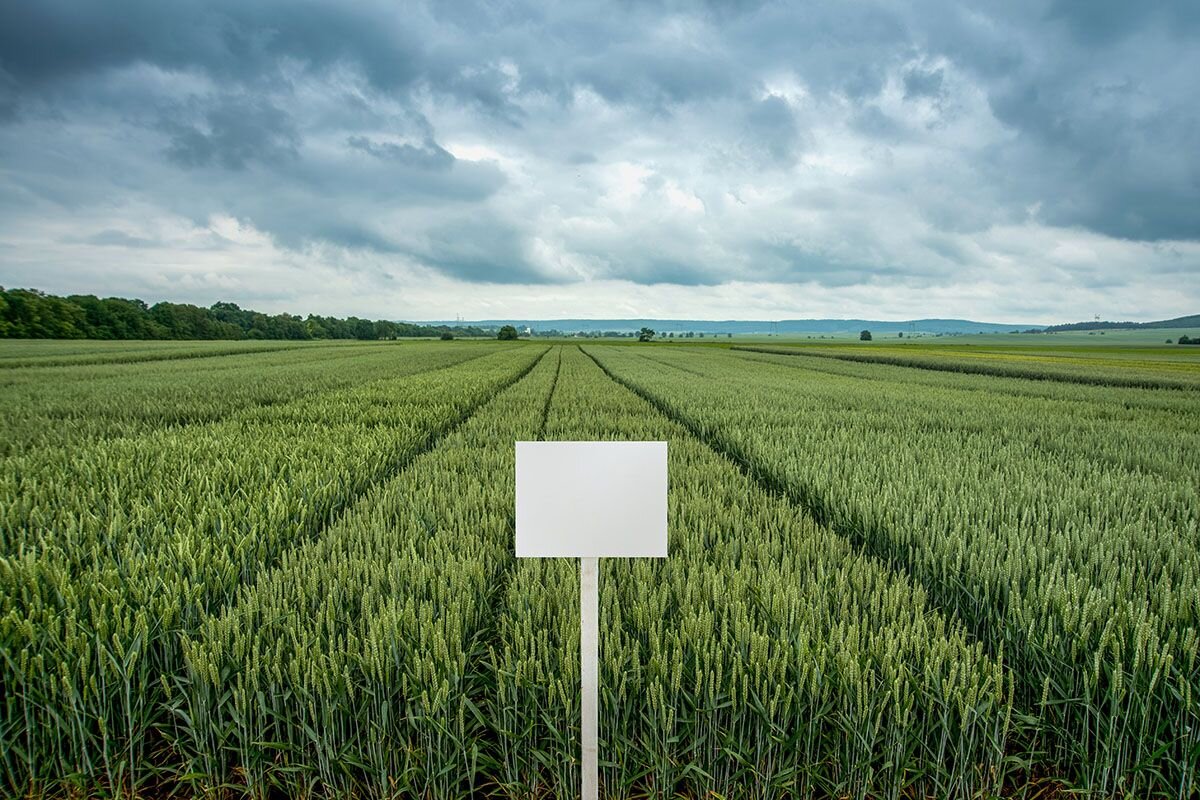 Земельные паи появились с переходом к частной собственности в России в начале 90-х годов📷
