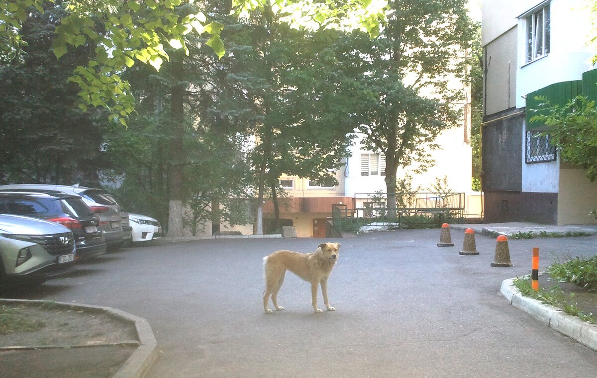 Фото автора