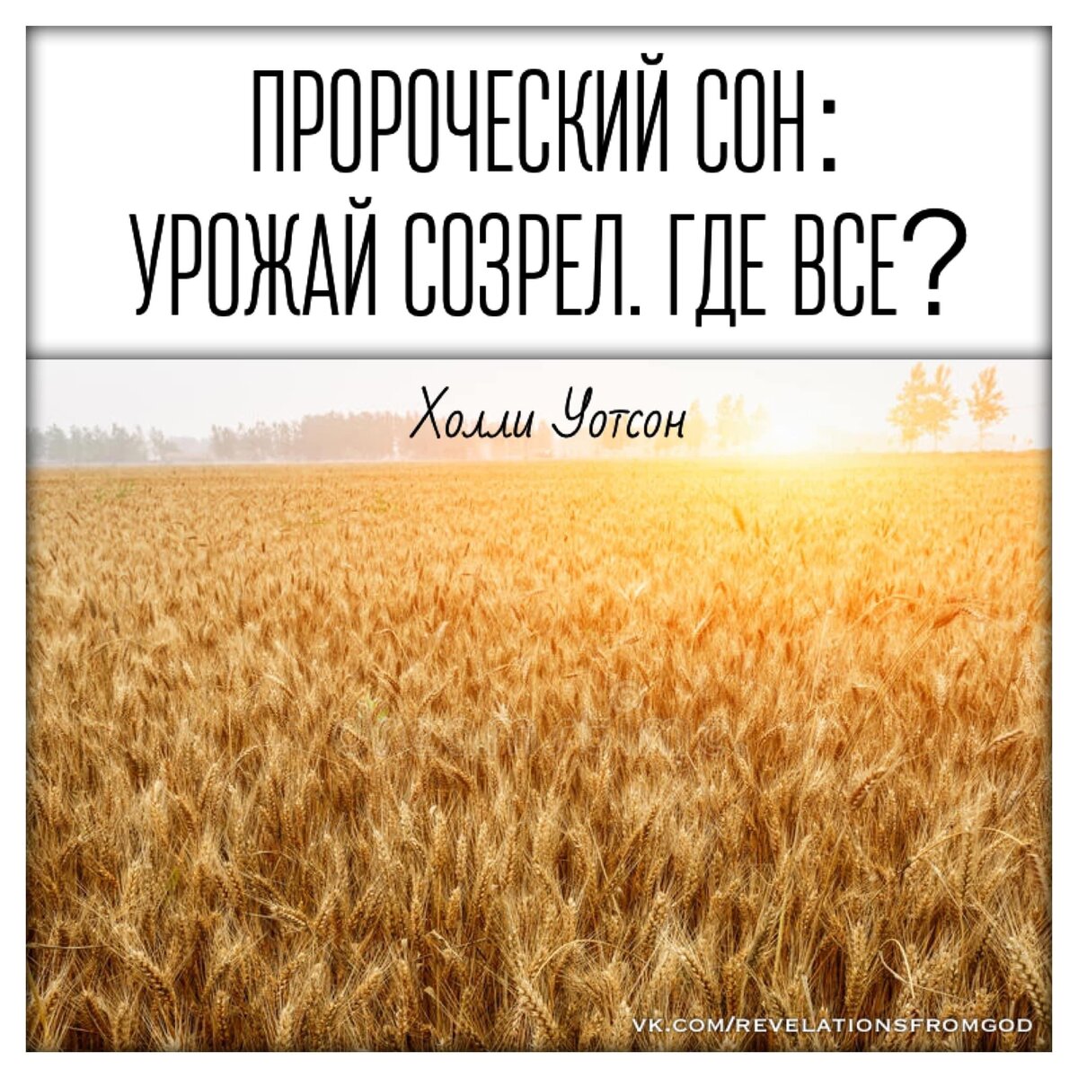 Пророческий сон: Урожай созрел. Где все? | Откровения. Видения. Сны.  Пророчества | Дзен