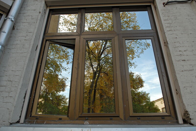 Фото Елены Головань.