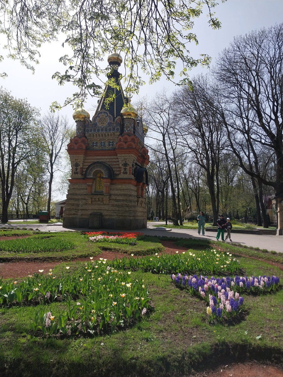 Путешествие в Гомель: люди, жильё, город, парк и река. Личные впечатления |  Майя о розах и не только | Дзен