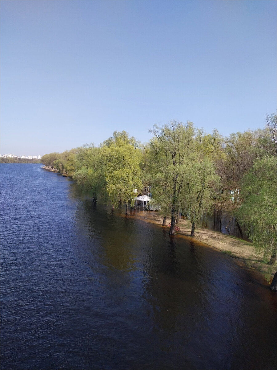 Путешествие в Гомель: люди, жильё, город, парк и река. Личные впечатления |  Майя о розах и не только | Дзен