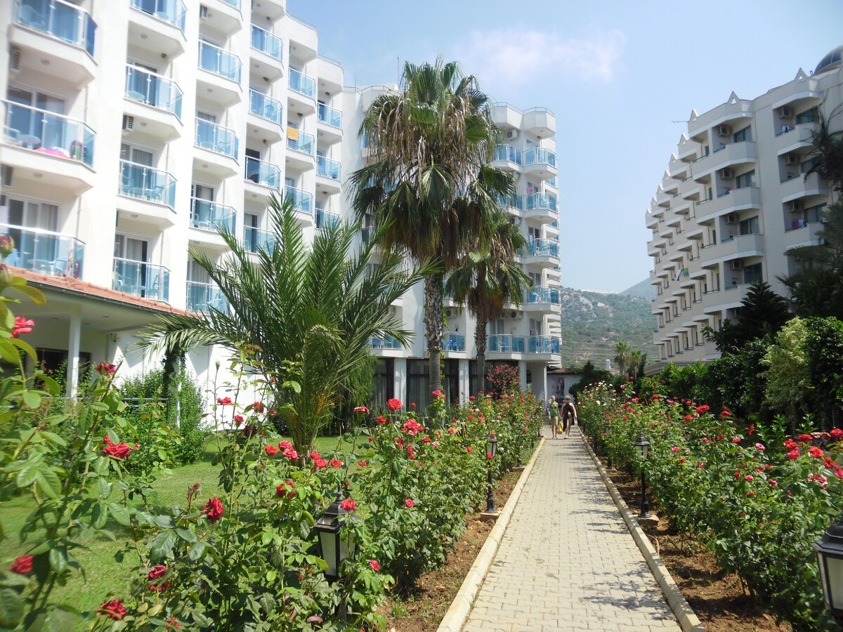 Территория отеля Blue Fish Hotel 4* (Конаклы, Турция) 
