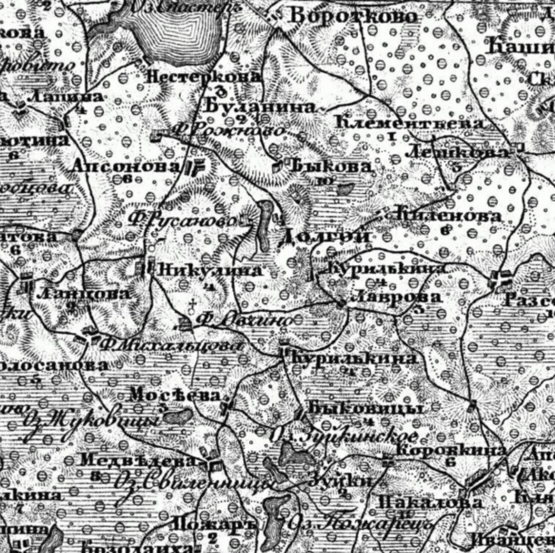 Фрагмент карты Невельского уезда XIX века