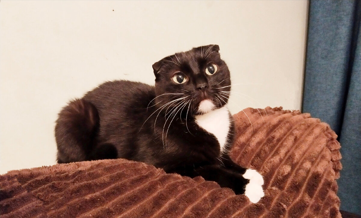 Сурен - чем не идеальный кандидат для первых чувств?