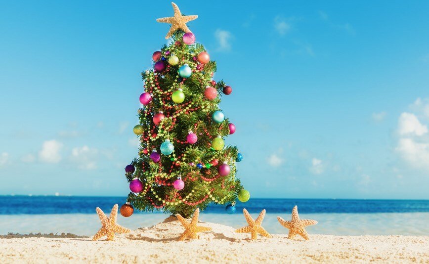 Фото из открытого источника