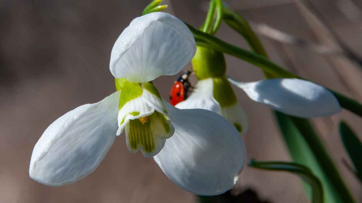 Фото: Oleg Kovtun Hydrobio/Shutterstock.com