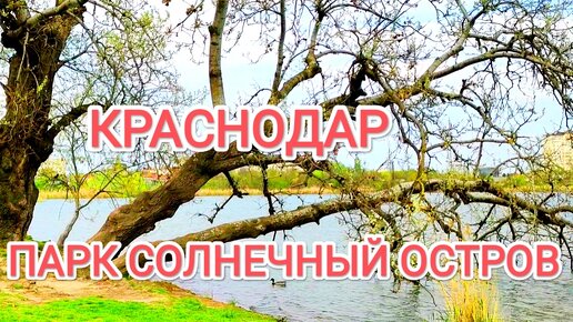 Россия. Краснодар. Парк 