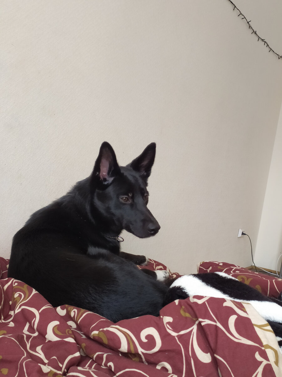 Ну примерно как-то так.....