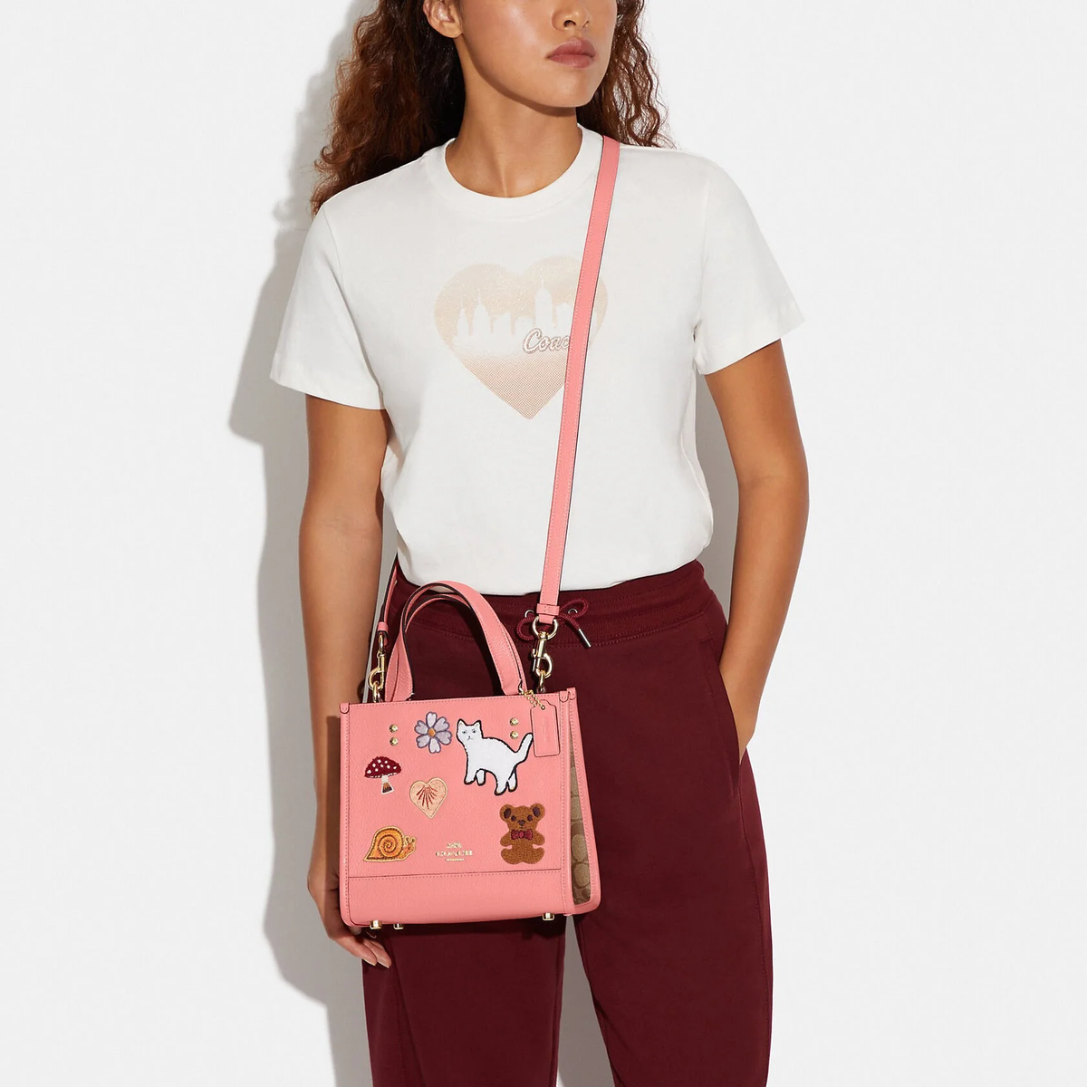 Сумки Coach Dempsey Tote 22 With Creature Patches на сайте coach-disconts.ru  