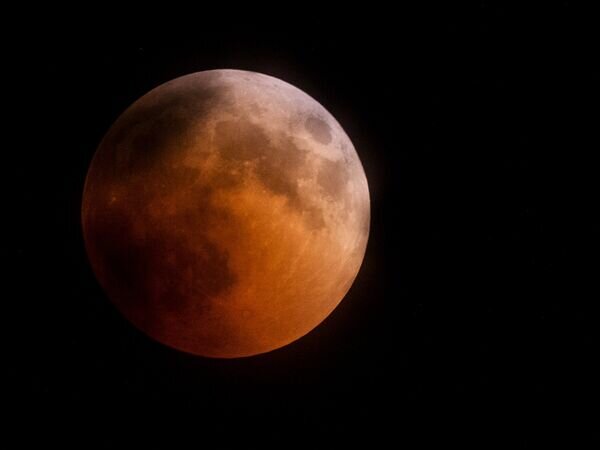    © РИА Новости Алексей Мальгавко