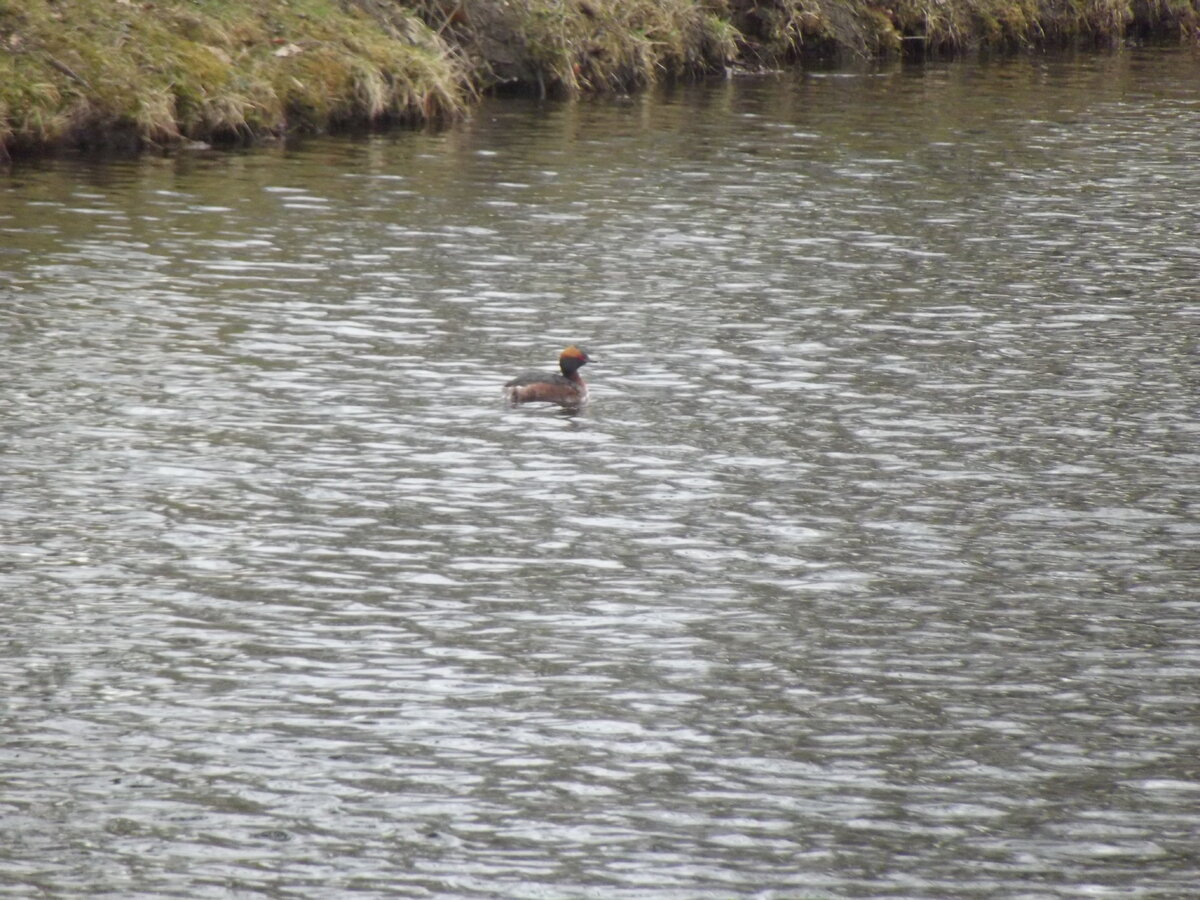 У горы Парнас