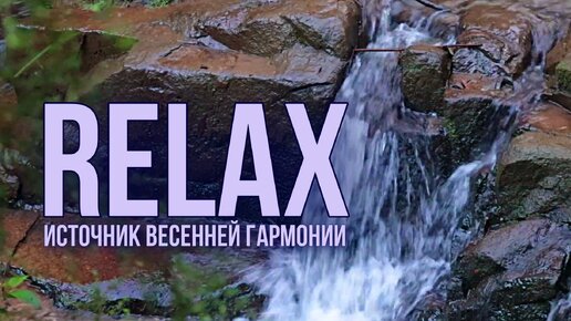 🎵 RELAX MUSIC — ИСТОЧНИК ВЕСЕННЕЙ ГАРМОНИИ: ЗВУКИ РУЧЬЯ И МУЗЫКА ЛЕСА ДЛЯ ГЛУБОКОГО РАССЛАБЛЕНИЯ И УМИРОТВОРЕНИЯ