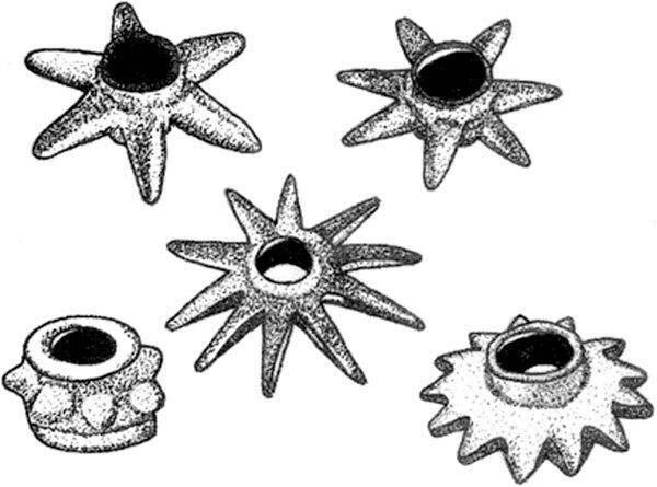 Голова обычно имела форму семиконечной звезды диаметром около 15 см. 
