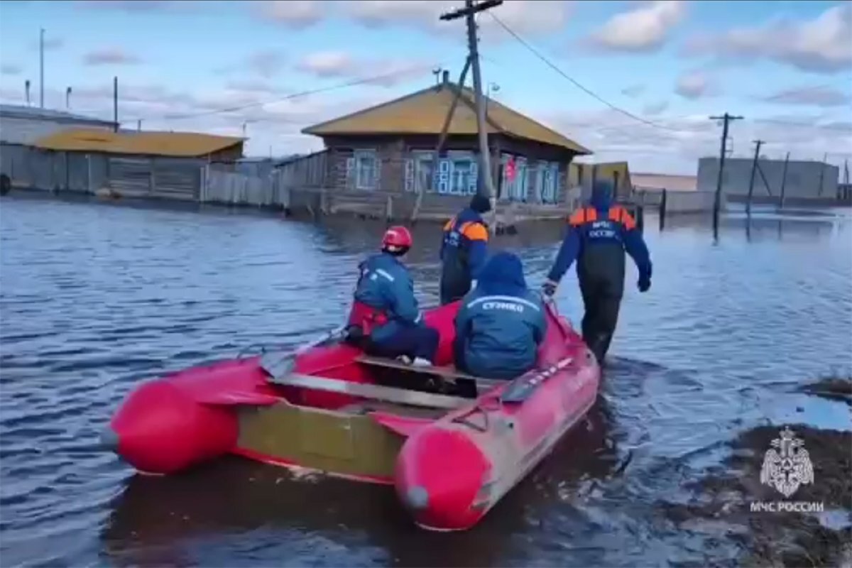    Жизнь после потопа.