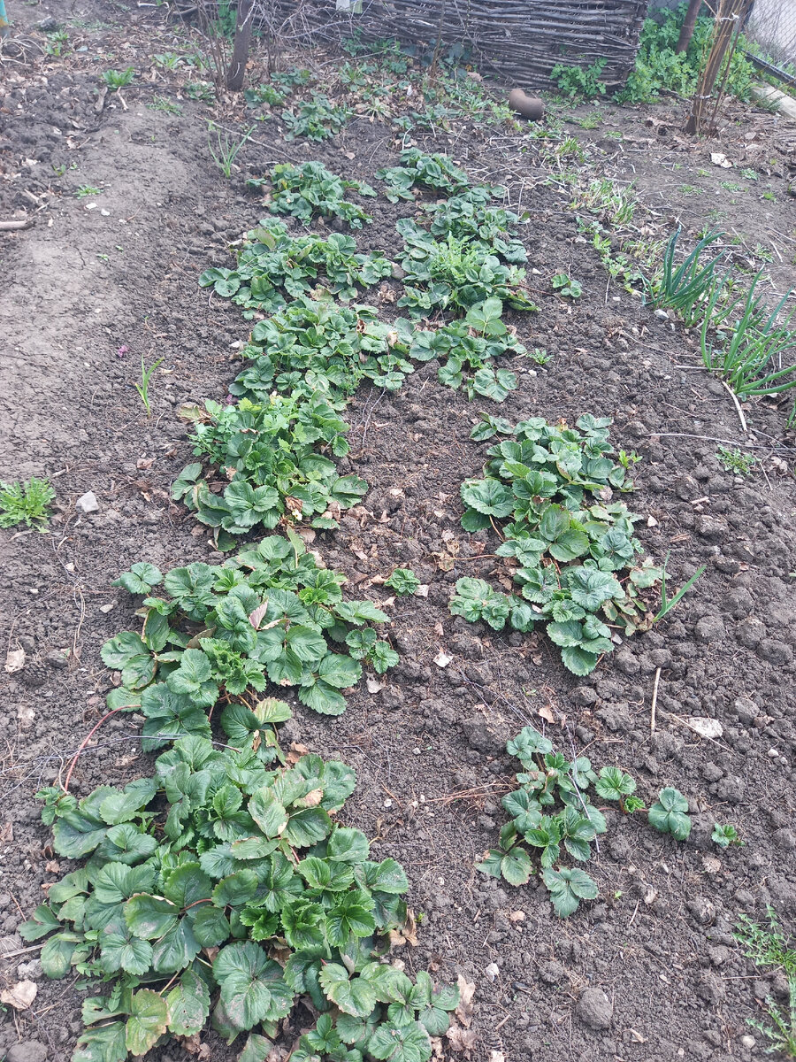 Азия сразу после схода снега