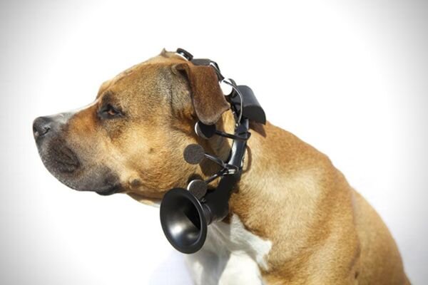 Вот такое странное устройство: гарнитура с дополнительными опциями