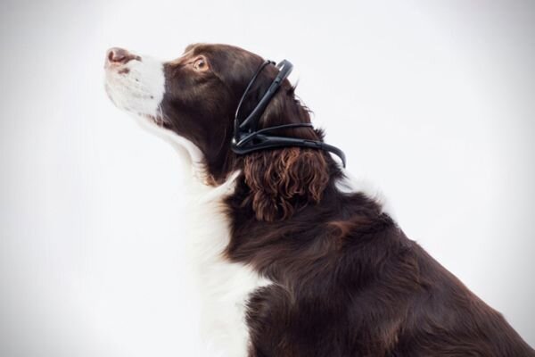 Вот такое странное устройство: гарнитура с дополнительными опциями