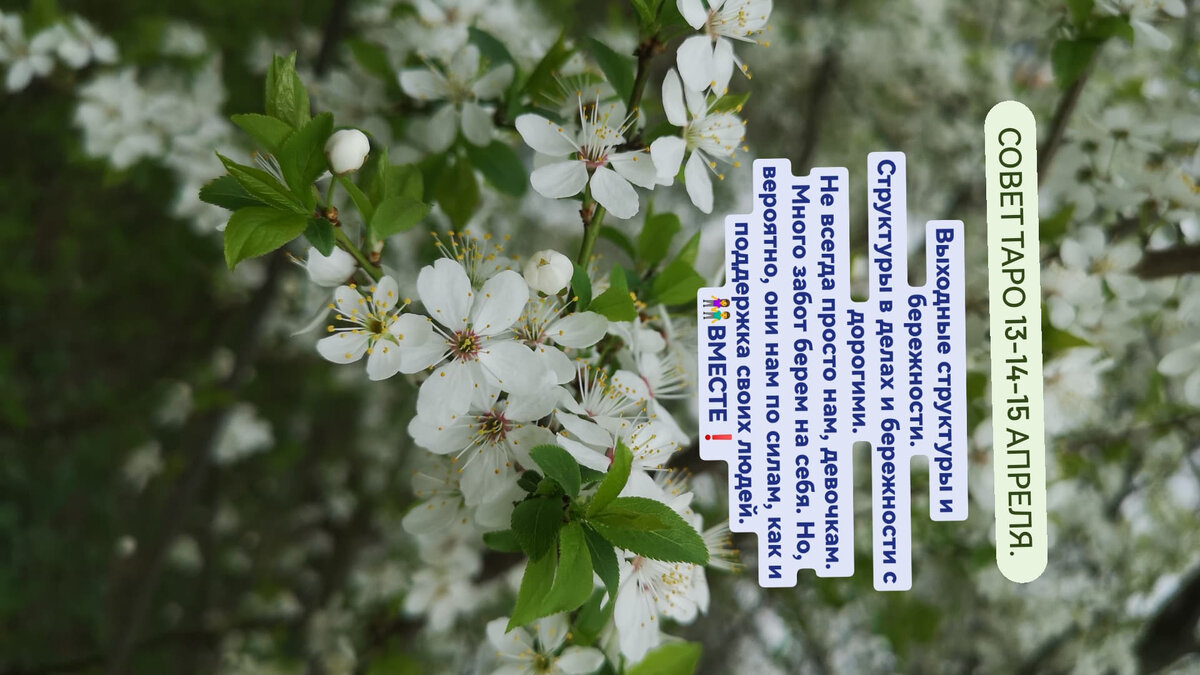 Нарушаю структуру! 