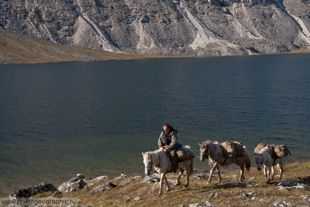 Чуть позади Кирилл со своими лошадками.