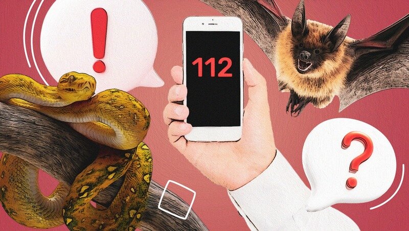      Фото: ИА «Победа26»