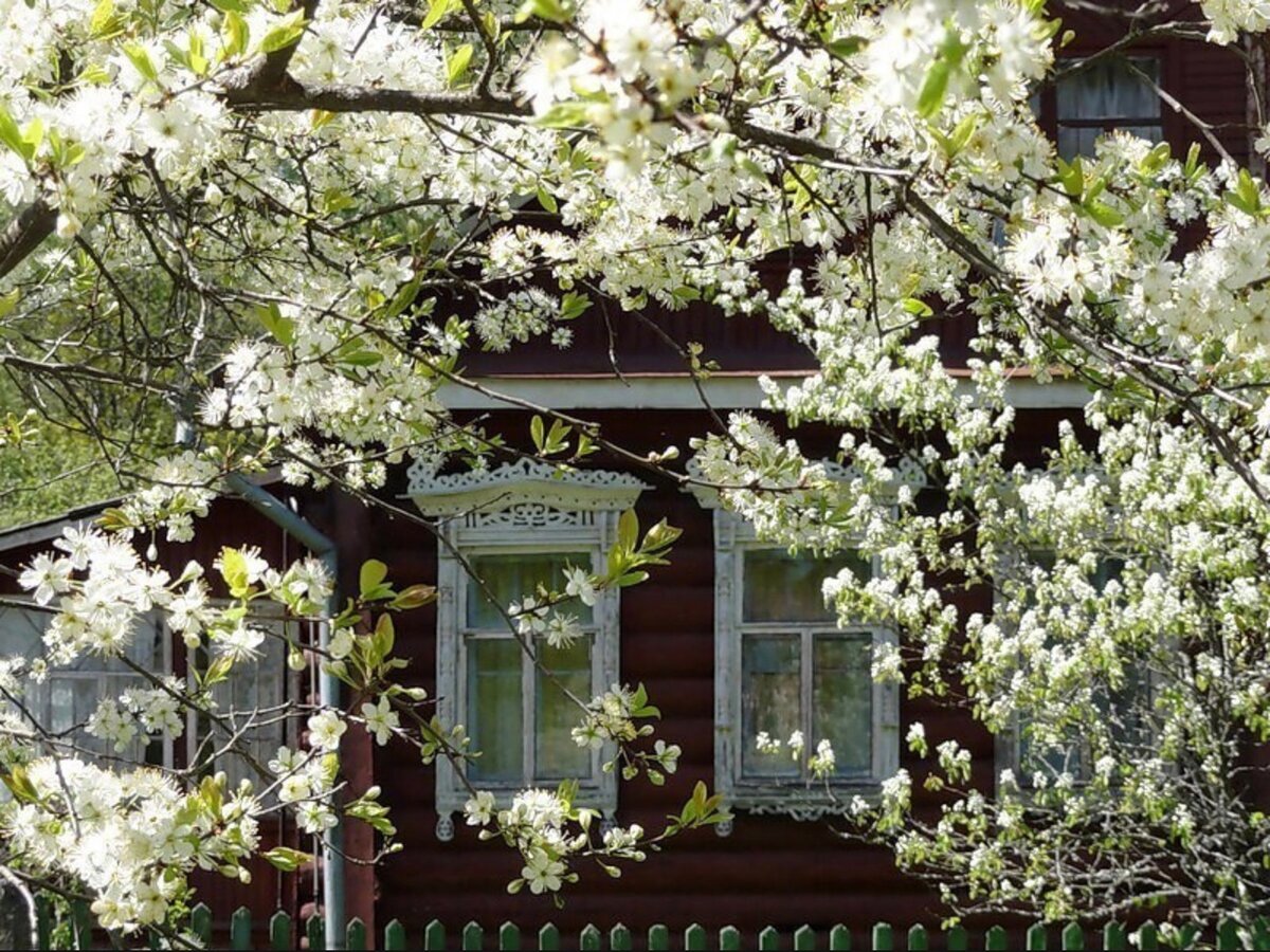 Фото интернета.