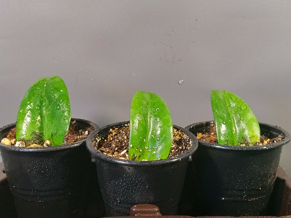 5.01.24